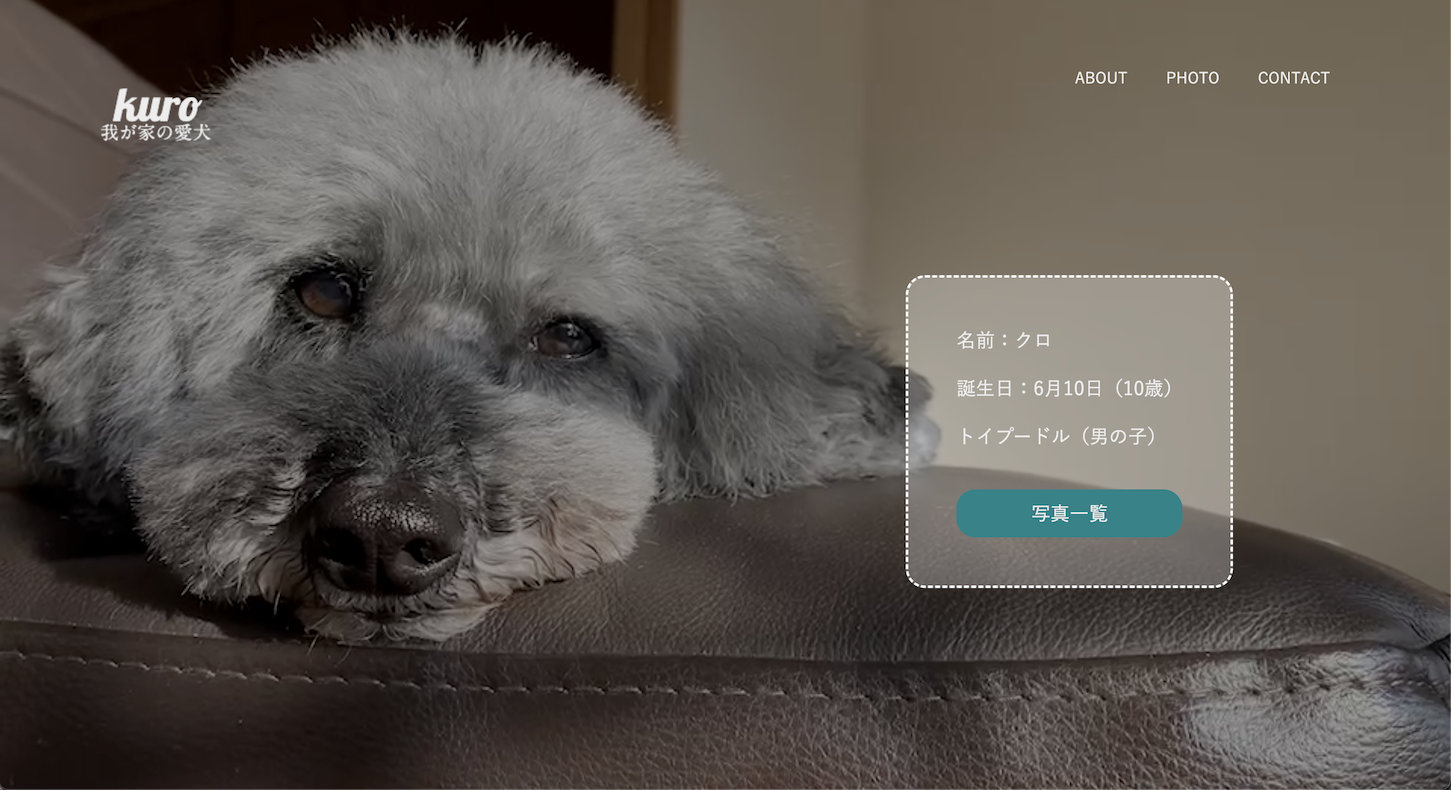 ブランドコンセプトWebサイト